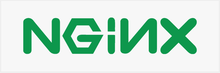 nginx-web-server