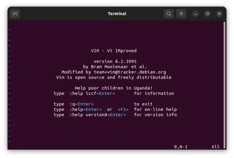 Launch-Vim
