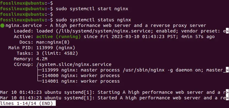 Nginx-service