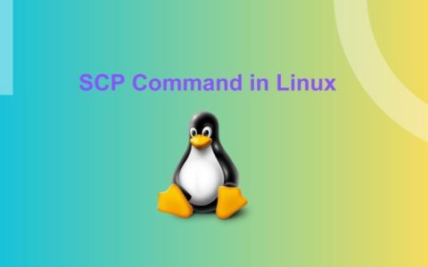 Linux 中的 SCP 命令：安全文件传输初学者指南 - 主机说 HostingTalk