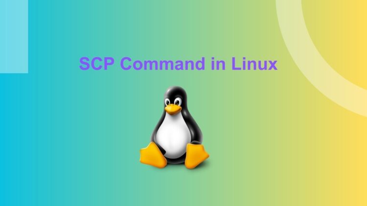 SCP-Command-in-Linux-750x422-1