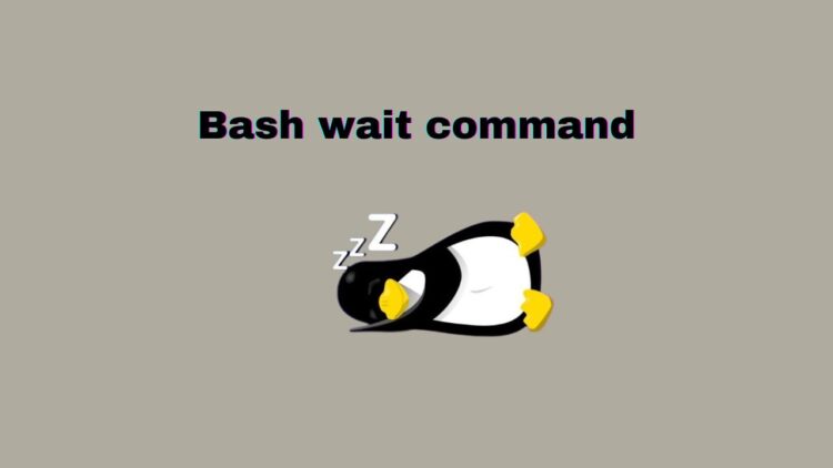 bash-wait-command-2-750x422-1